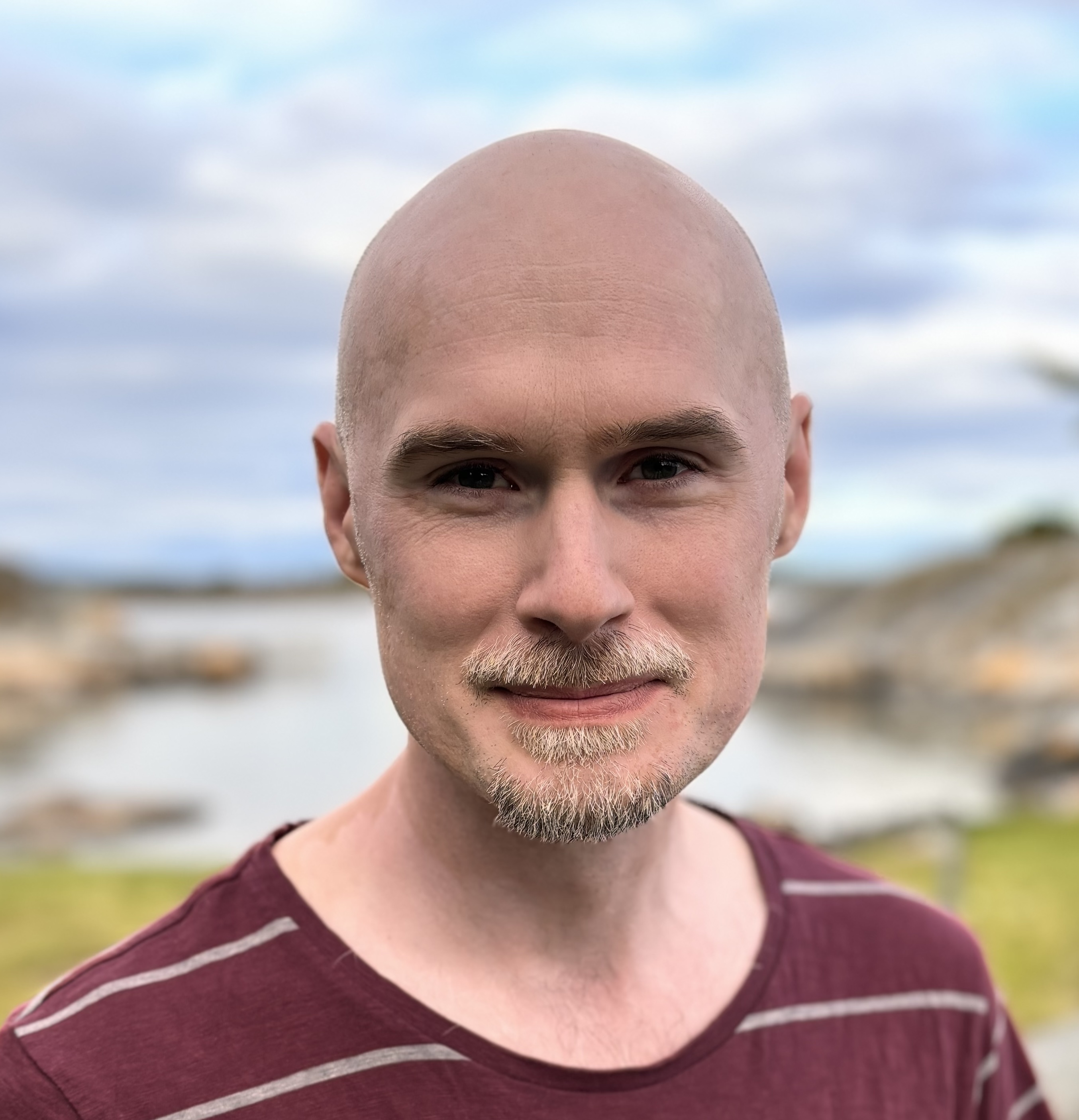 Johan Falk